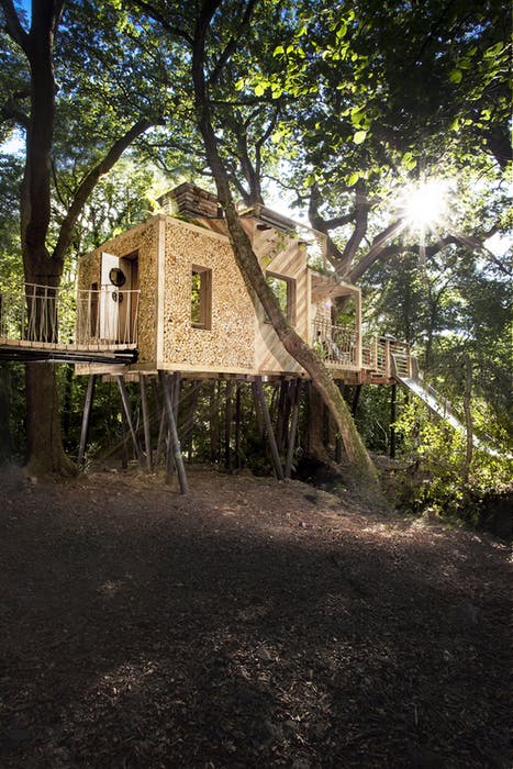 在森林裡的樹屋室內設計